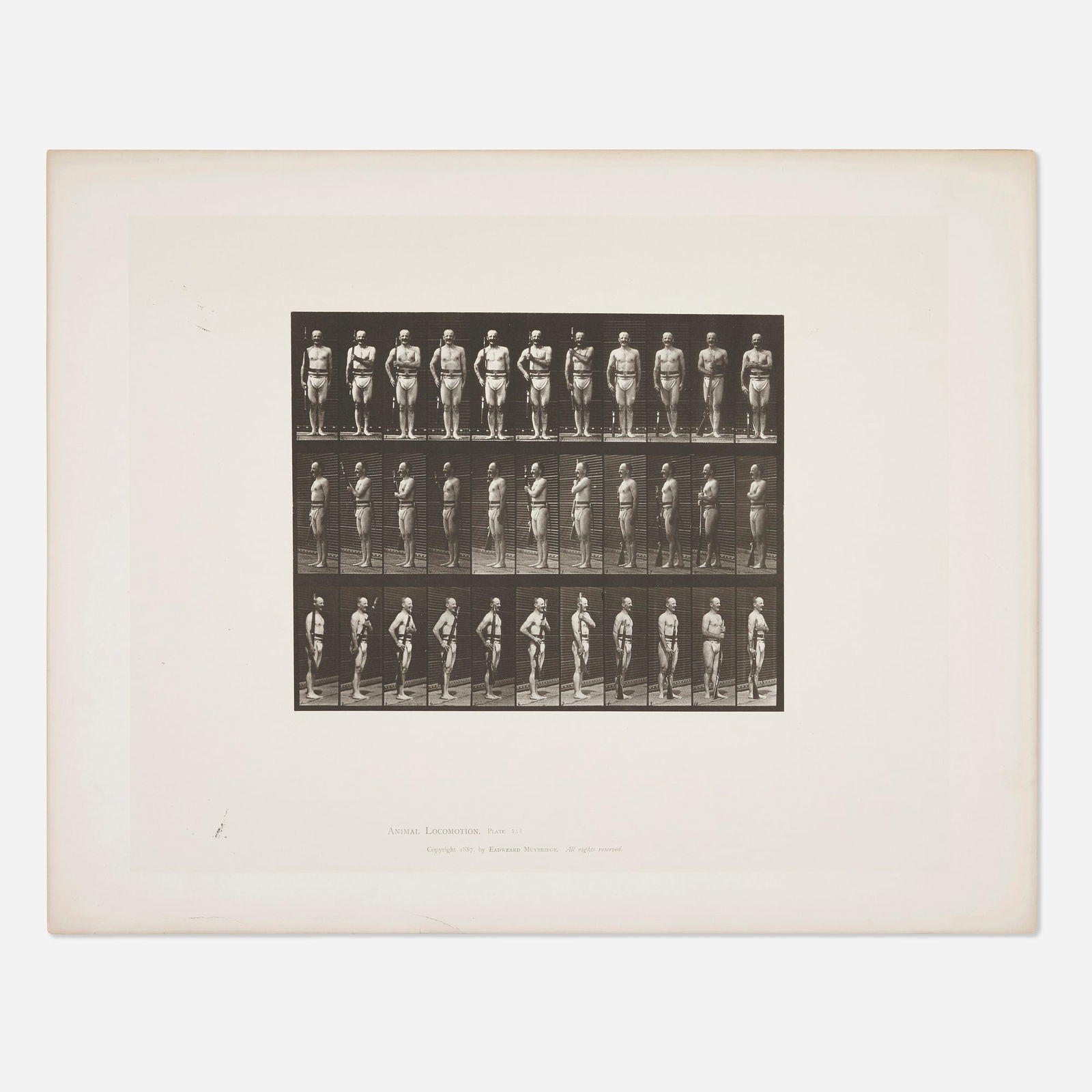 Eadweard Muybridge, Plate 354 (from the Animal Locomotion series) (1 of 2)