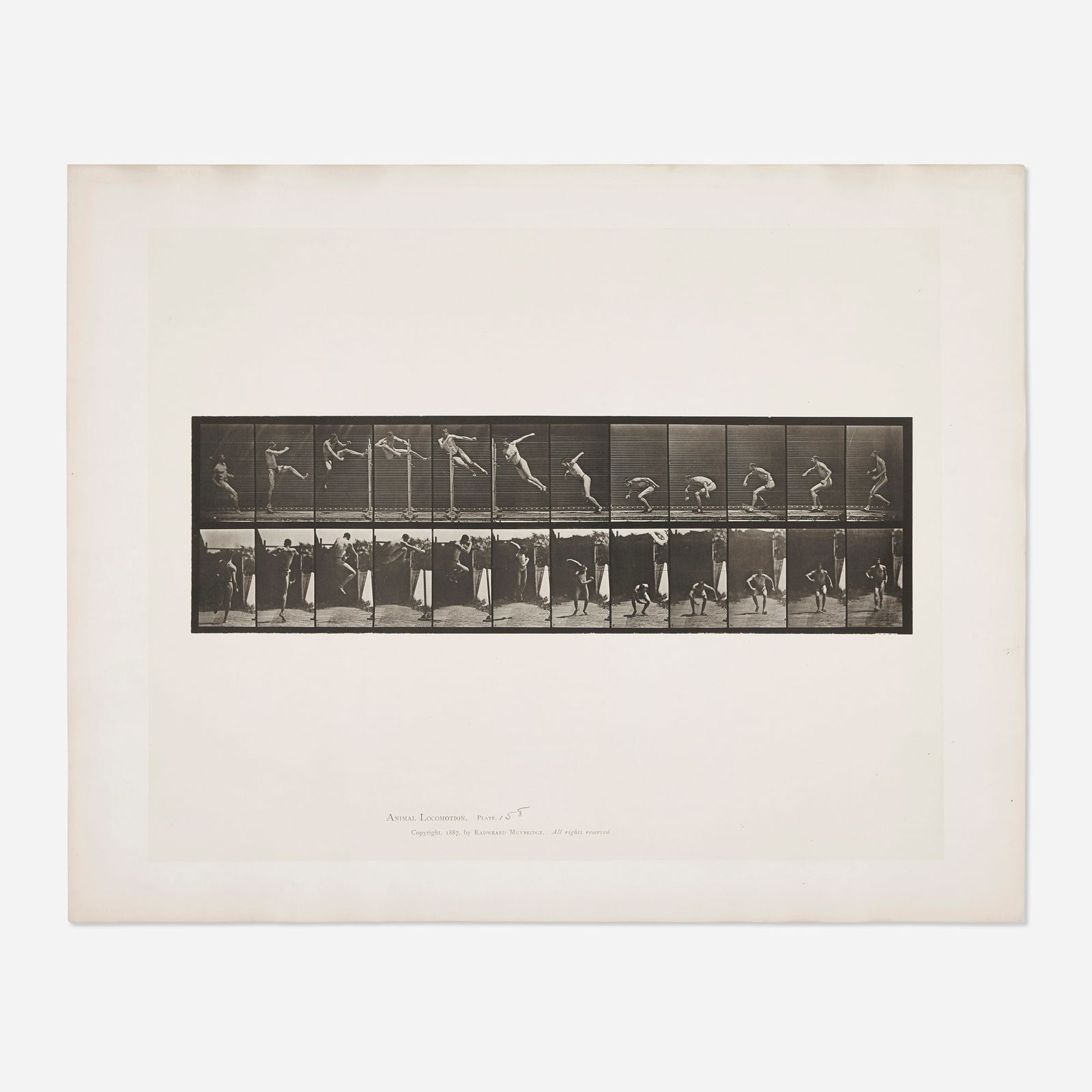 Eadweard Muybridge, Plate 158 (from the Animal Locomotion series) (1 of 2)
