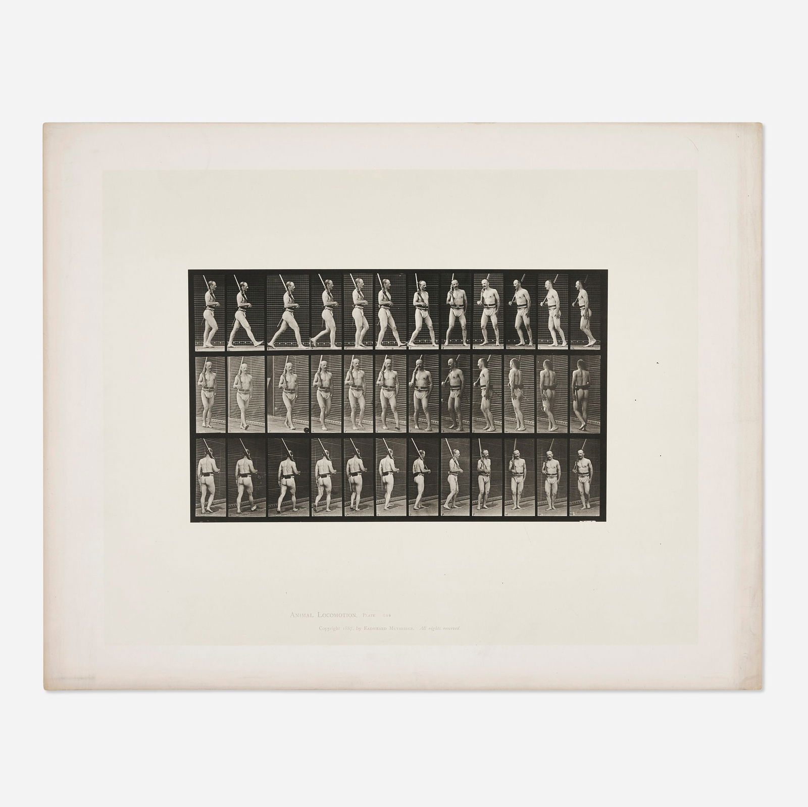 Eadweard Muybridge, Plate 355 (from the Animal Locomotion series) (1 of 2)