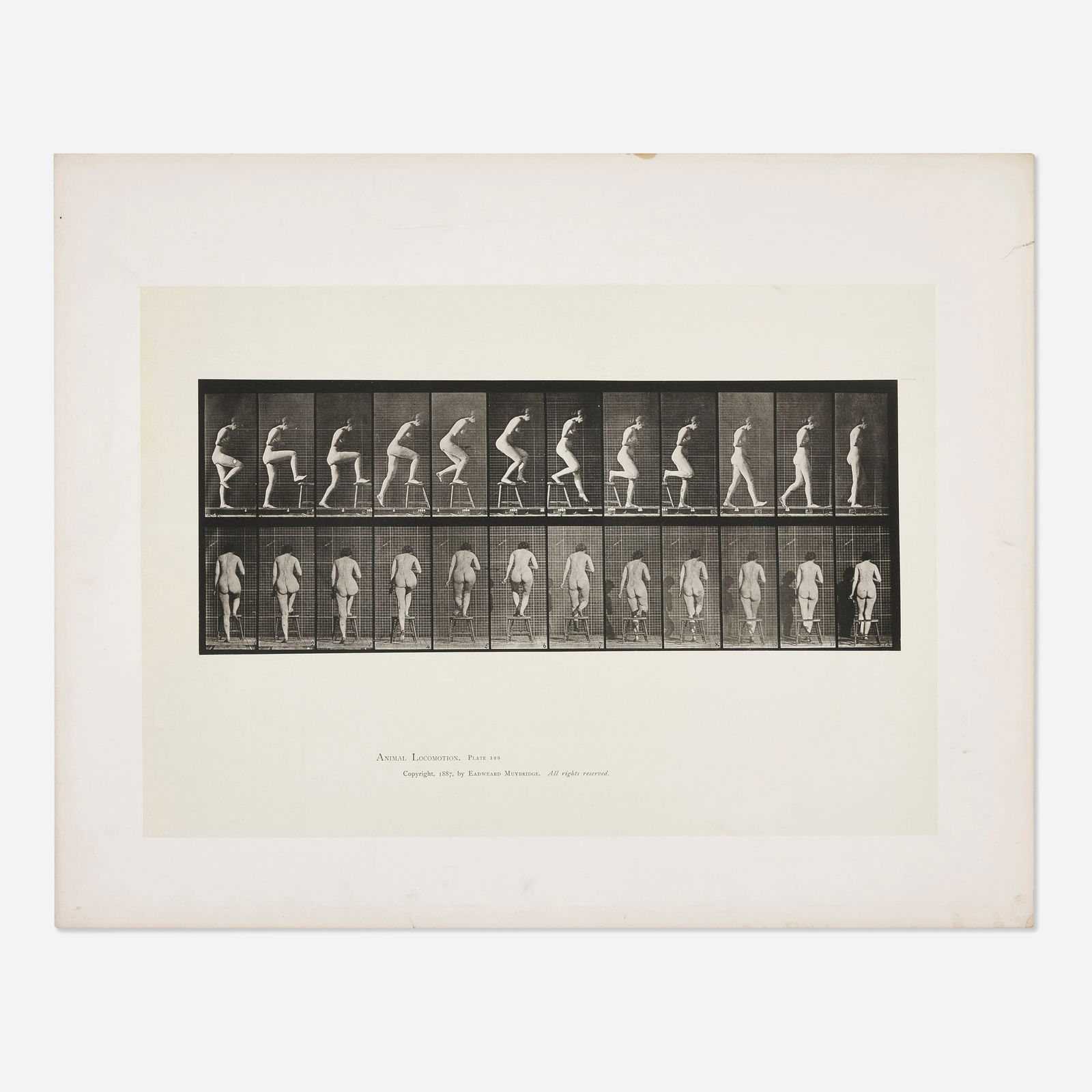 Eadweard Muybridge, Plate 180 (from the Animal Locomotion series) (1 of 2)