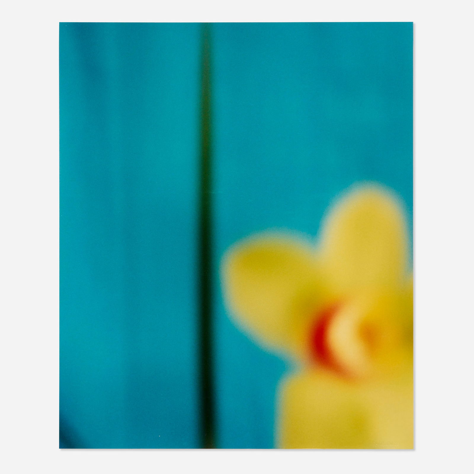 David Seidner, Yellow Orchid with Green Leaf: David Seidner Yellow Orchid with Green Leaf 1999cibachrome print mounted to foam board 24 h x 20 w in (61 x 51 cm) This work is number 2 from the edition of 25. Provenance: