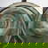 item-210897429=6