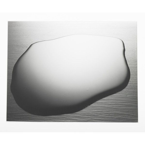 DAVID GOLDES (American, b. 1947): Gelatin silver print; "Puddle," 2002 (framed); 16 3/4" x 21 1/2" (sight)