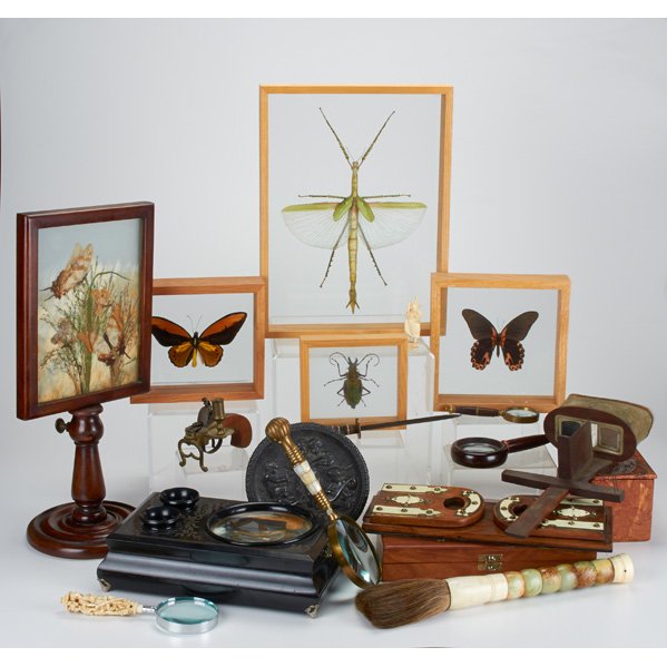 DECORATIVE DESK ACCESSORIES: Seventeen pieces, 19th/20th c. including four insects mounted in shadow boxes, ebonized stereoscopic viewer, maple burlwood puzzle box, four magnifying glasses, letter opener, etc.; Tallest: 18 1/2"