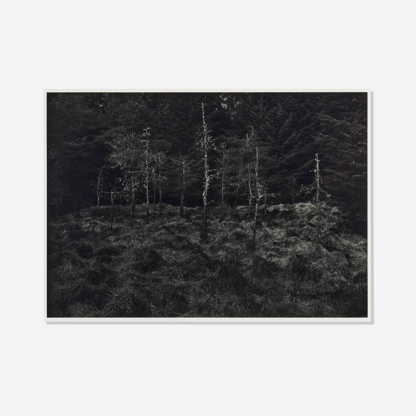 Thomas Joshua Cooper, Ceremonial Gathering/A Premonitional Achnabreck, Argyllshire, Scotland: Thomas Joshua Cooper Ceremonial Gathering/A Premonitional Achnabreck, Argyllshire, Scotland 1991gelatin silver print 16 h x 22.625 w in (41 x 57 cm) Signed to mount 'Thomas'. Signed, titled, d