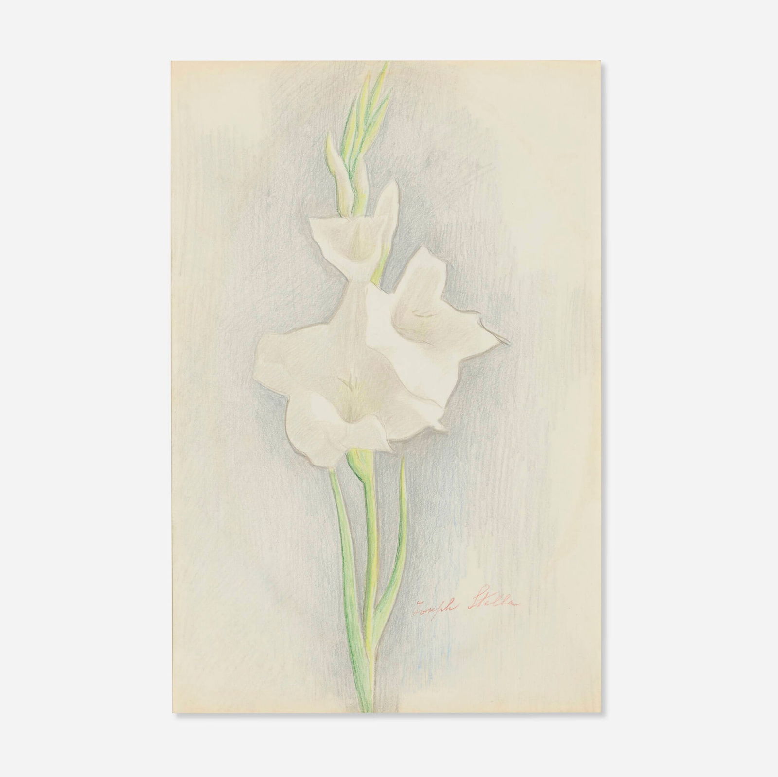 Joseph Stella, White Gladiolus: Joseph Stella White Gladiolus c. 1920silverpoint and crayon on paper 17 h x 11.25 w in (43 x 29 cm) Signed to lower right 'Joseph Stella'. Provenance: Gift from the art