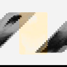 Jefferson Hayman, Male Nude, Back View: Jefferson Hayman Male Nude, Back View 2005gelatin silver print 6.75 h x 4.5 w in (17 x 11 cm) This work is number 4 from the edition of 25. Provenance: Michael Shapiro