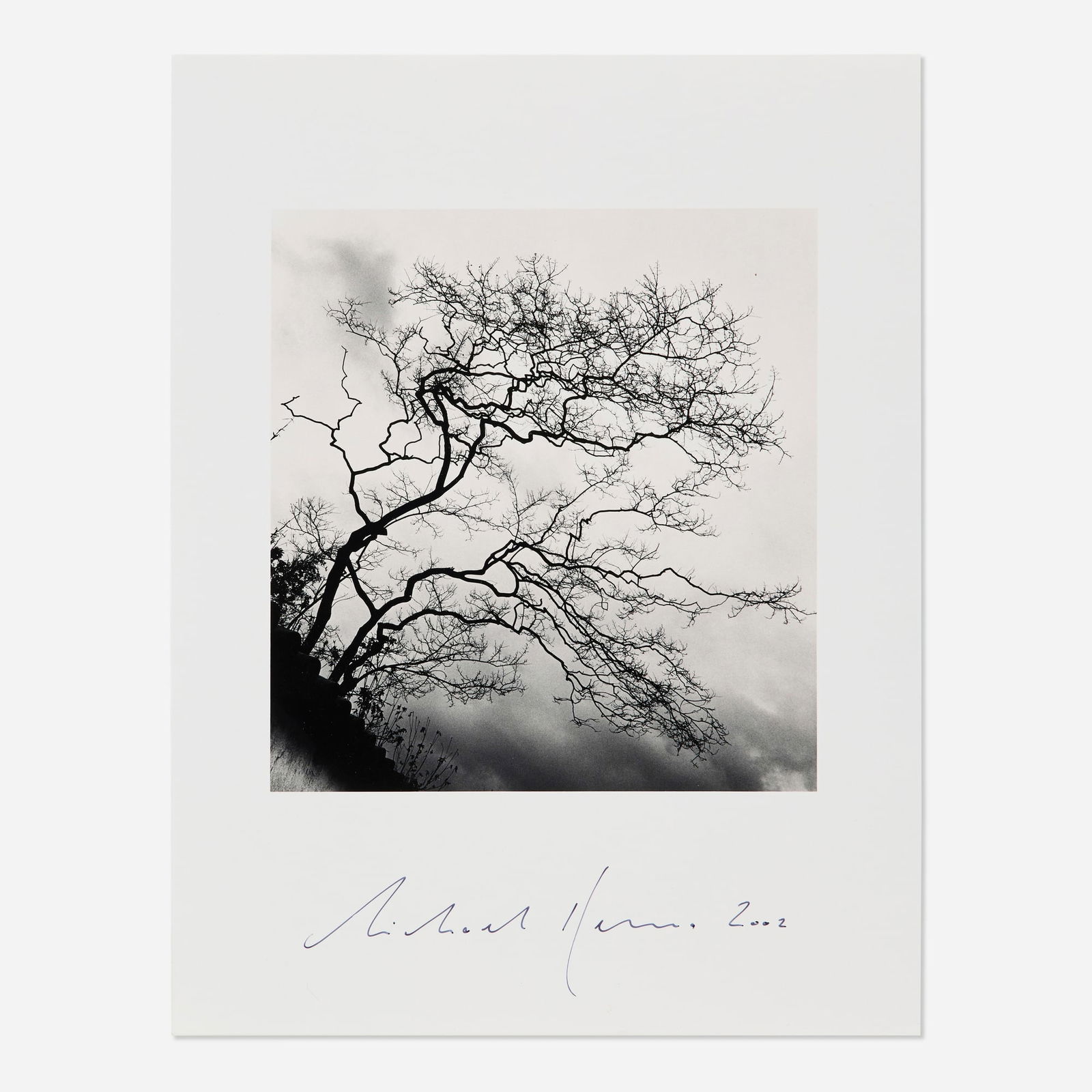 Michael Kenna, Temple Trees, Nara, Honshu, Japan (1 of 2)