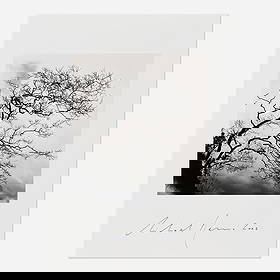 Michael Kenna, Temple Trees, Nara, Honshu, Japan: Michael Kenna Temple Trees, Nara, Honshu, Japan 2002 / printed 2010sepia toned gelatin silver print image: 7.5 h x 7 w in (19 x 18 cm) sheet: 13 h x 10 w in (33 x 25 cm) Signed and dated to