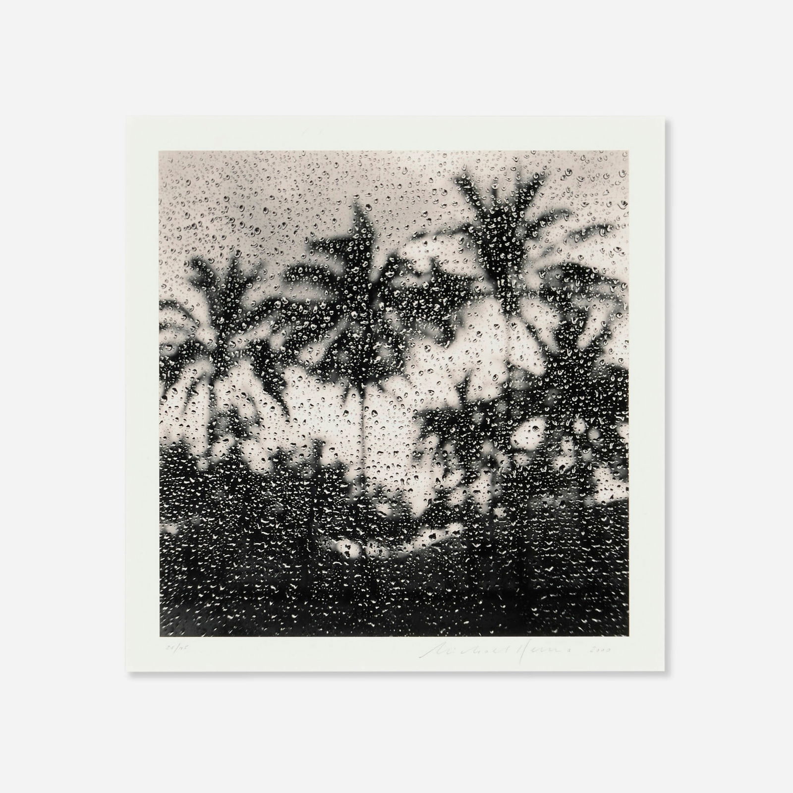 Michael Kenna, Palm Trees, Anakena, Easter Island (1 of 3)