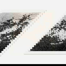 Michael Kenna, Palm Trees, Anakena, Easter Island: Michael Kenna Palm Trees, Anakena, Easter Island 2000gelatin silver print image: 7.625 h x 7.75 w in (19 x 20 cm) sight: 8.75 h x 8.875 w in (22 x 23 cm) Signed and numbered to lower edge '