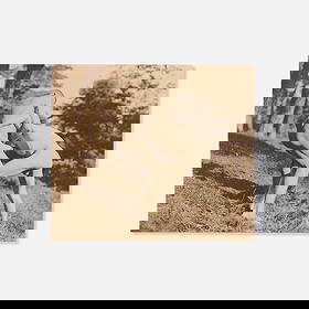 Max Koch and Otto Rieth, Untitled (Male Nudes): Max Koch and Otto Rieth Untitled (Male Nudes) c.1890collotype sight: 5 h x 5.75 w in (13 x 15 cm) Max Koch was a historical painter and teacher who also developed a strong interest in the emer