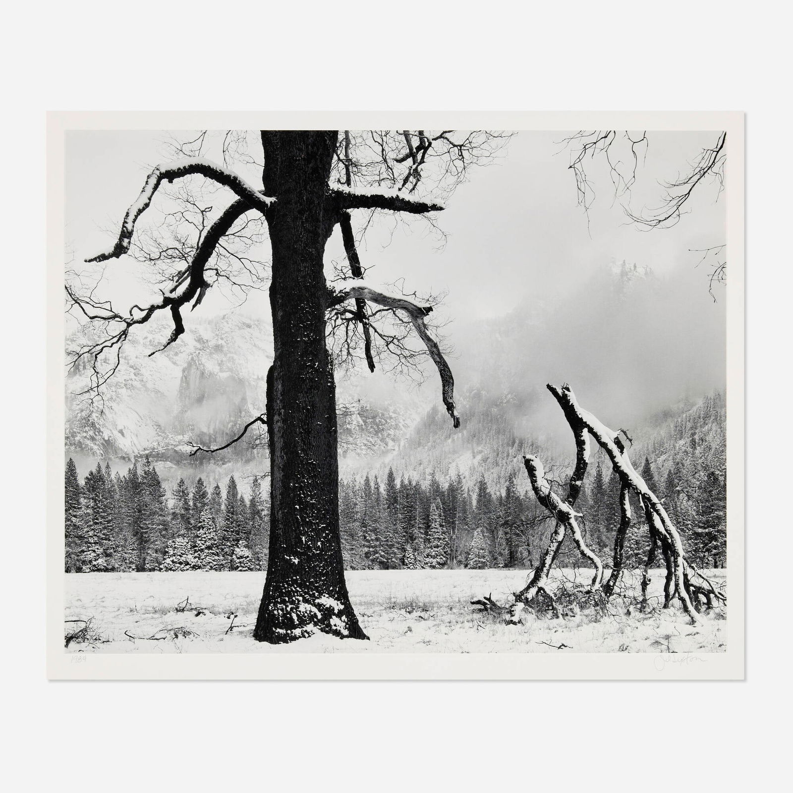 John Sexton, Black Oak, Fallen Branches, Yosemite National Park, Colorado: John Sexton Black Oak, Fallen Branches, Yosemite National Park, Colorado 1984 / printed 2013gelatin silver print image: 15 h x 19 w in (38 x 48 cm) mount: 22 h x 28 w in (56 x 71 cm) Signed