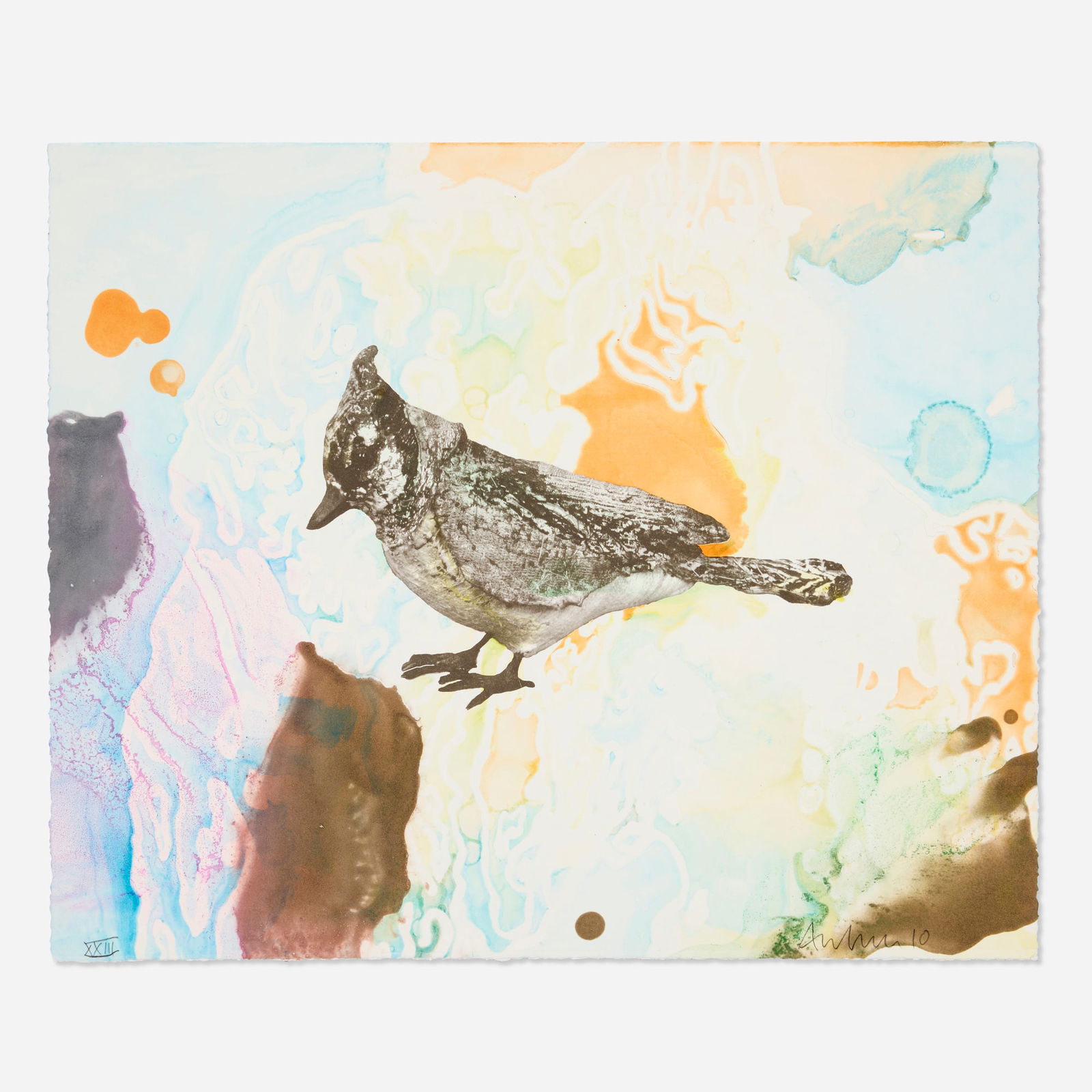 Anne Chu, XXIII (from the Blue Jay Monotypes series): Anne Chu XXIII (from the Blue Jay Monotypes series) 2010lithograph with monotype 15 h x 18.125 w in (38 x 46 cm) Signed, titled and dated to lower edge 'XXIII Anne Chu 10'. This work Is from t