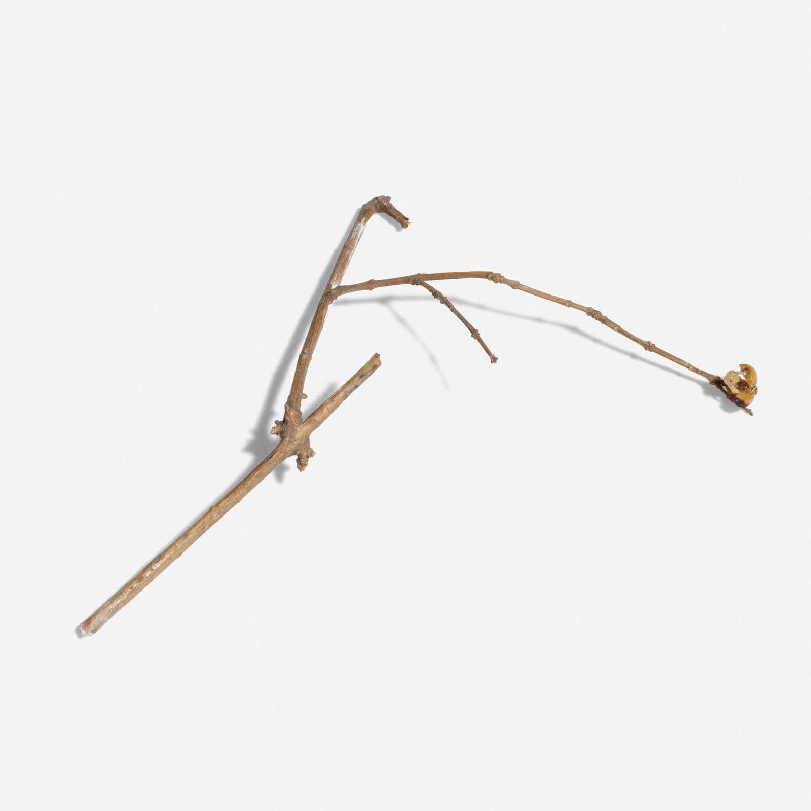 Ham Jin, Untitled (1 of 4)