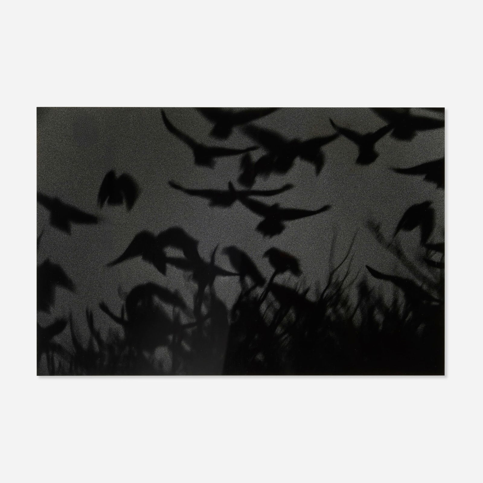 Masahisa Fukase, Kanagawa (from the Solitude of Ravens portfolio) (1 of 4)