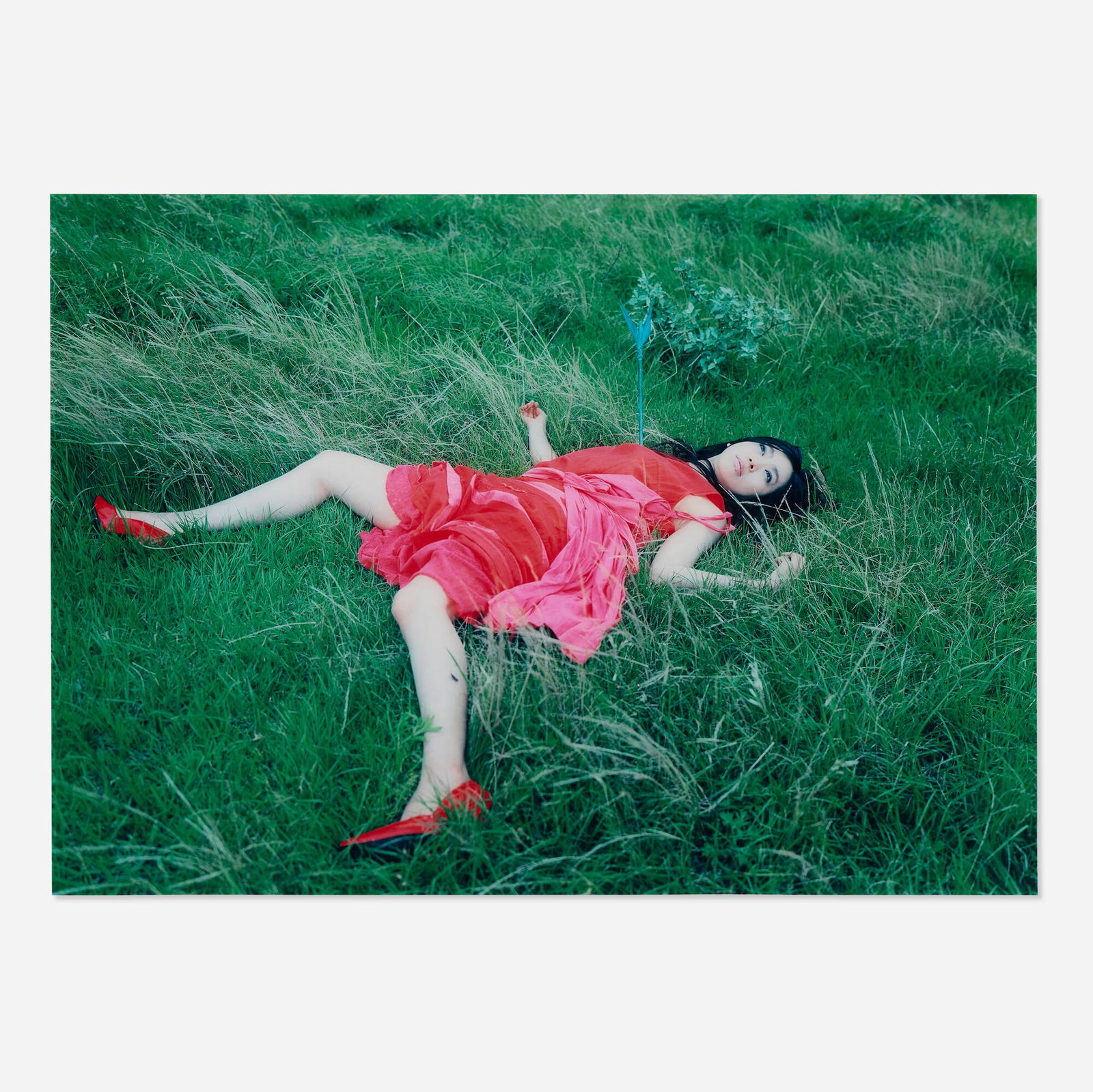 Izima Kaoru, UA wears Toga, # 373 (from the Landscapes with a Corpse series) (1 of 4)