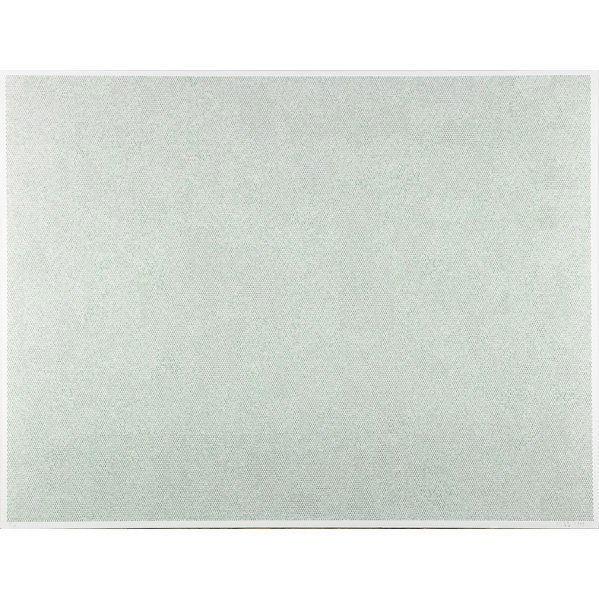 Do-Ho Suh (Korean, b. 1962): Who Am We? (Green), 1999; Iris print on paper; Signed, dated and numbered 3/10; 35" x 47 1/4" (sheet)