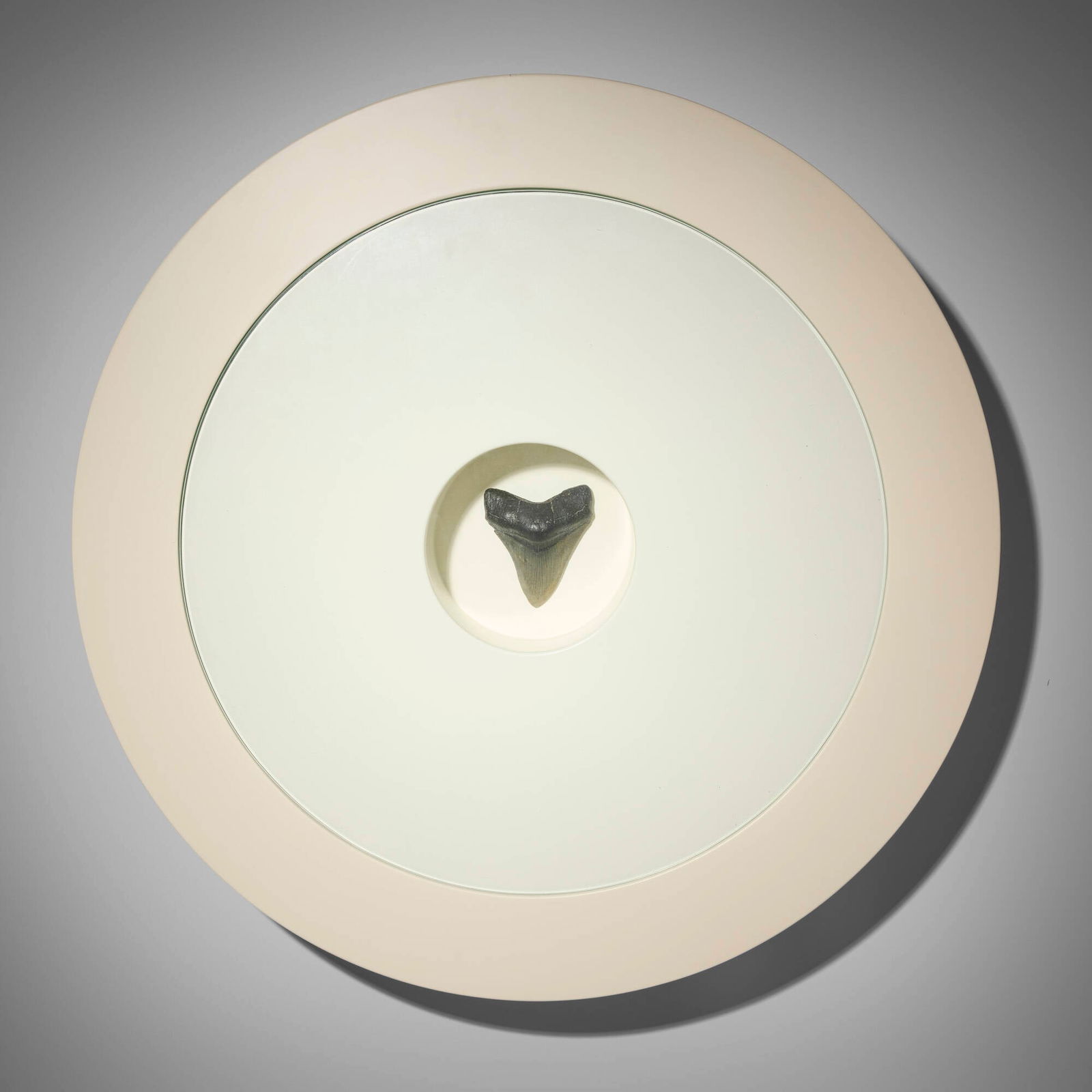 Francesco Gennari, 12: Francesco Gennari 12 2001 prehistoric shark tooth, coated plywood, glass 4.375 h x 26 dia in (11 x 66 cm) Sold with a certificate of authenticity from Zero Arte Contemporanea. Provenance: Galerie