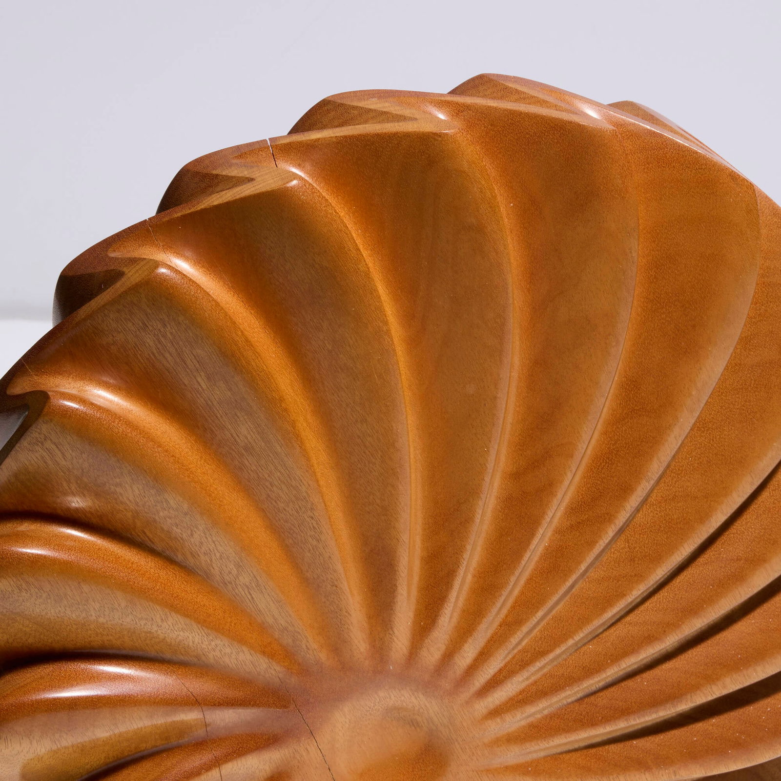 William Hunter, Satin Shell - 4