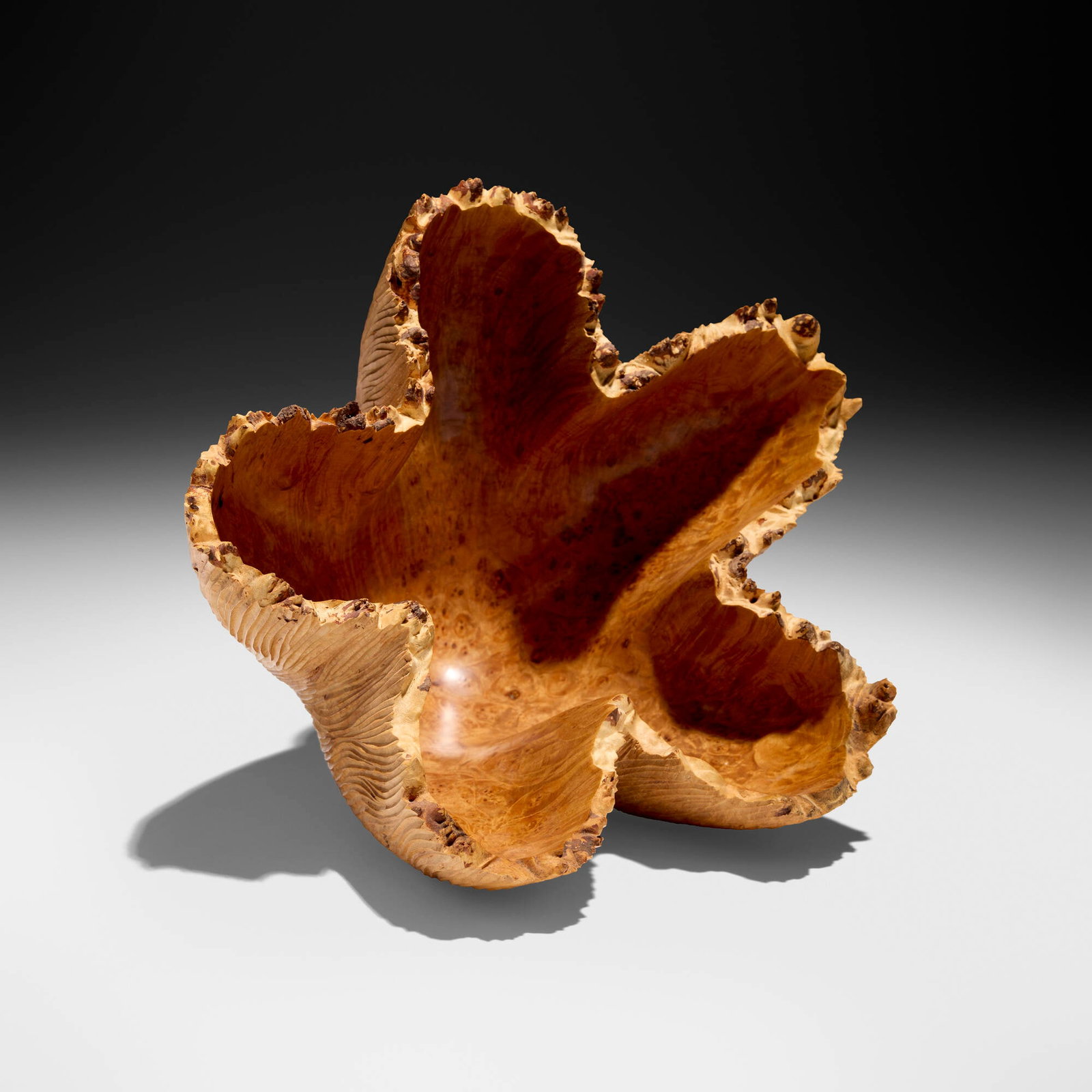 Bob Womack, Starfish (1 of 4)