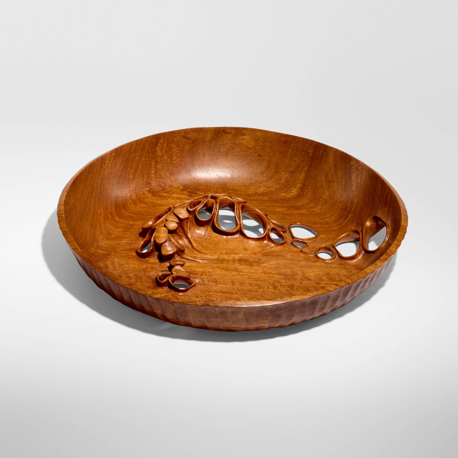 Ben Trupperbaumer, Forest Floor (1 of 4)