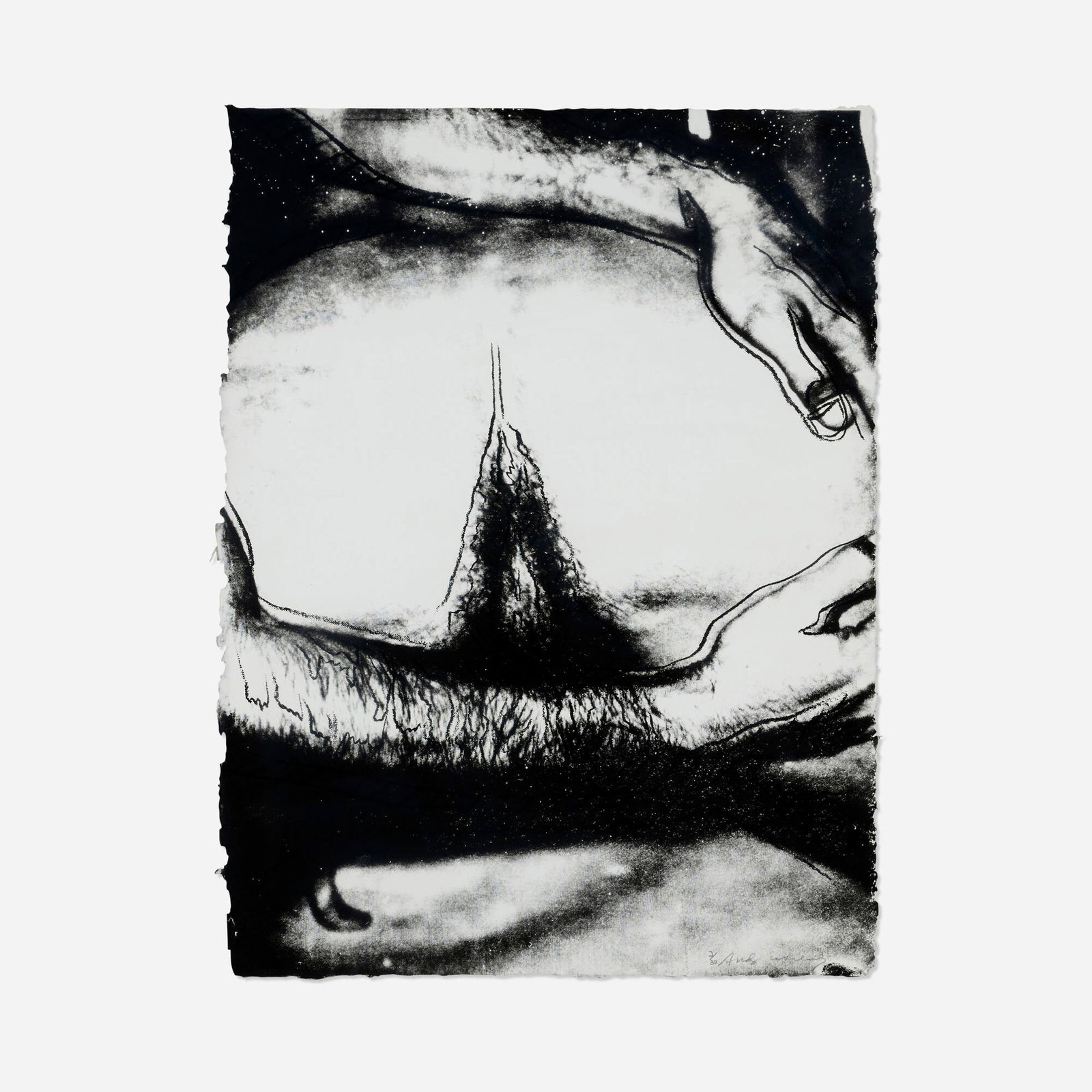 Andy Warhol, Untitled (from the Sex Parts series): Andy Warhol Untitled (from the Sex Parts series) 1978 screenprint on HMP 31.25 h x 23.125 w in (79 x 59 cm) Signed and numbered to lower right '2/30 Andy Warhol'. This work is number