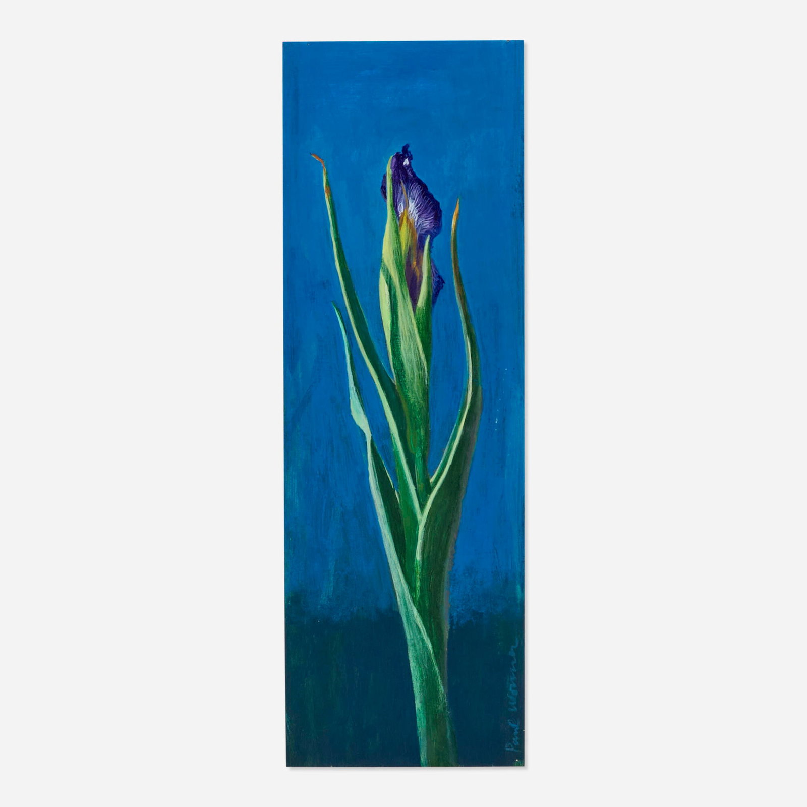 Paul Wonner, Study of an Iris: Paul Wonner Study of an Iris 1985 acrylic on paper 12 h x 4 w in (30 x 10 cm) Signed to lower right edge 'Paul Wonner'. Provenance: John Berggruen Gallery, San Francisco | Collection of