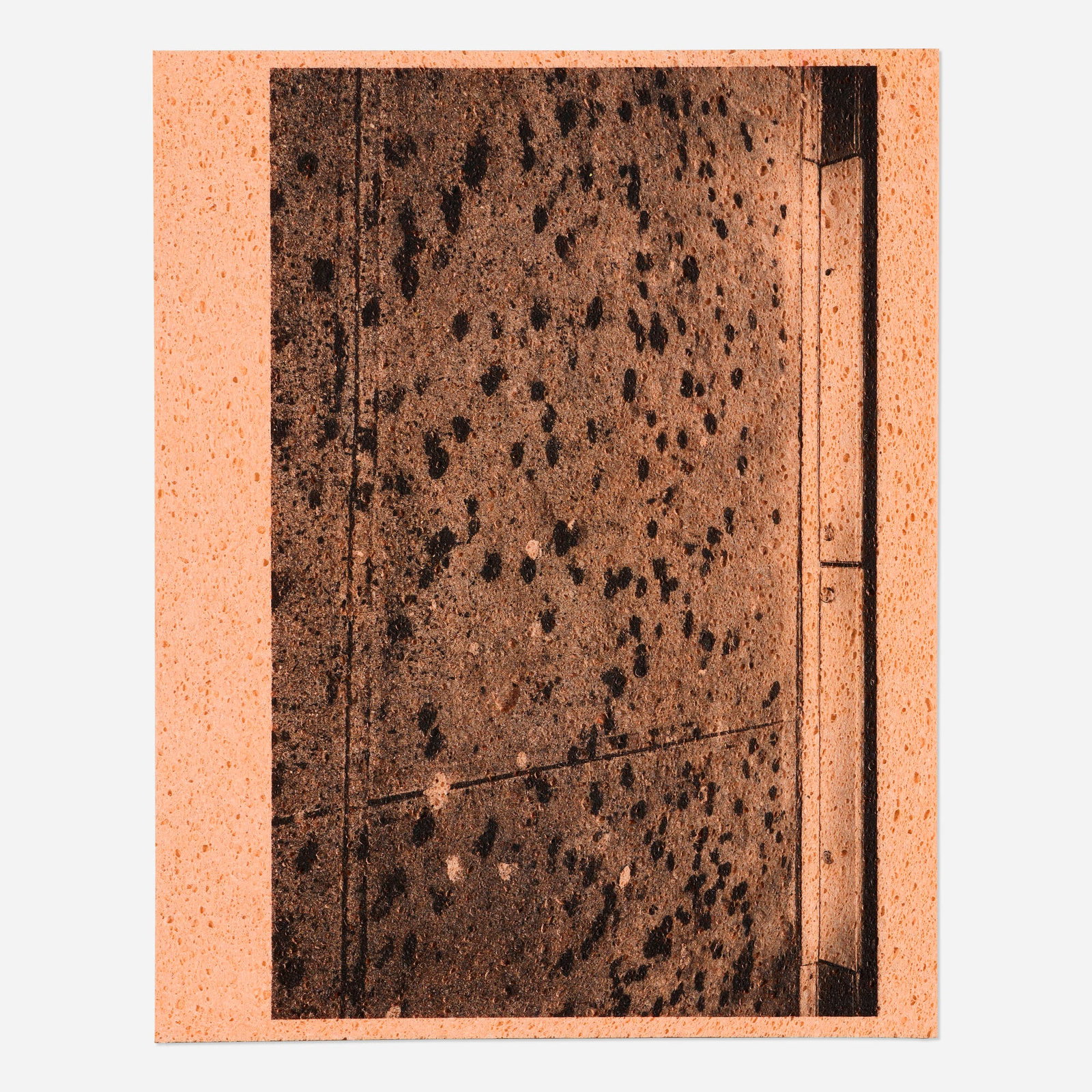 Adam McEwen, Untitled: Adam McEwen Untitled 2014 inkjet print on cellulose sponge mounted to metal frame 20 h x 16 w x 1.5 d in (51 x 41 x 4 cm) Proceeds from this sale will benefit Artists for Peace and Justice, a