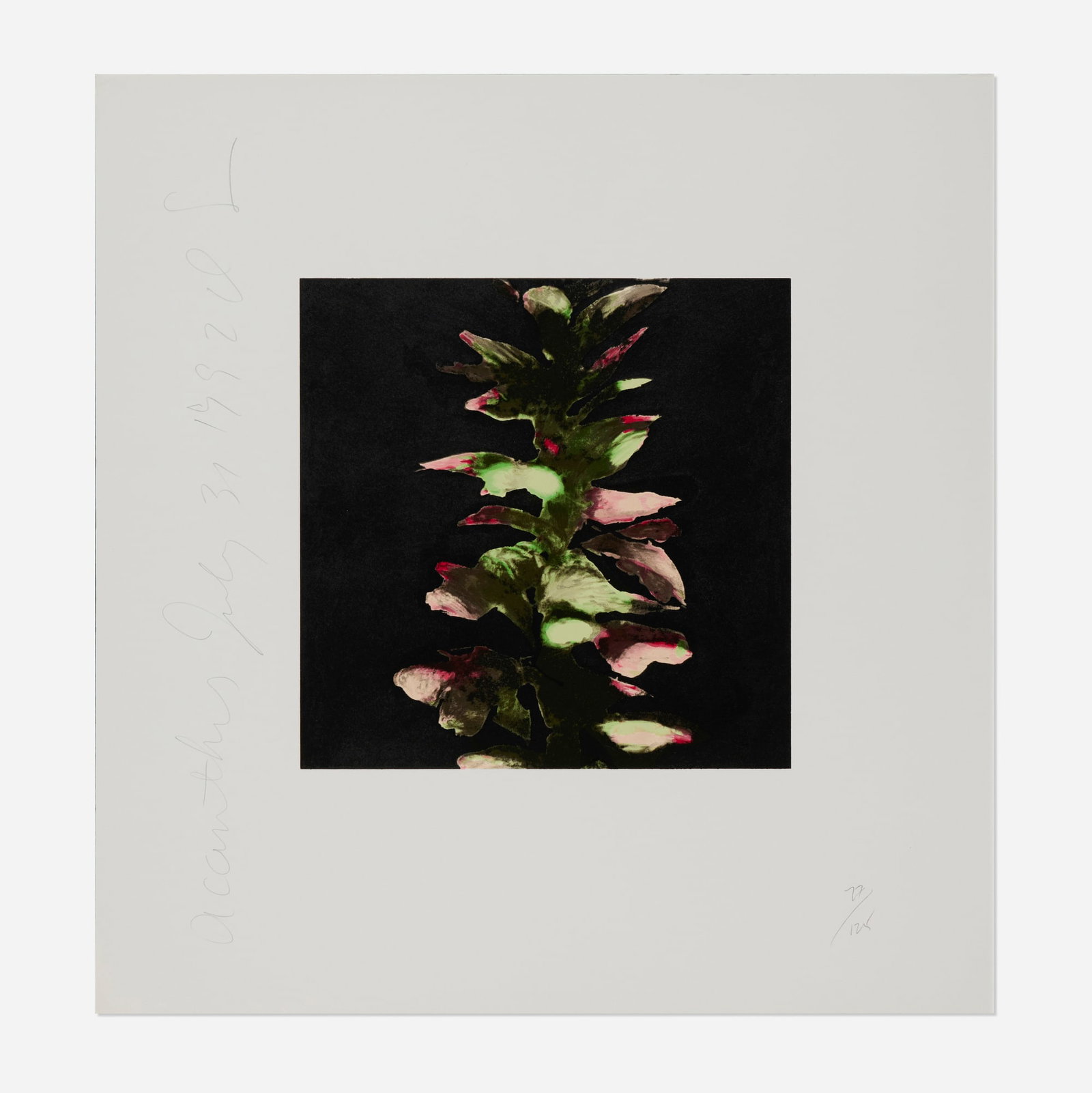 Donald Sultan, Acanthus (from the Fruits and Flowers III series): Donald Sultan Acanthus (from the Fruits and Flowers III series) 1992 screenprint in colors image: 12 h x 12 w in (30 x 30 cm) sheet: 23 h x 22 w in (58 x 56 cm) Signed, titled, dated and numbered to