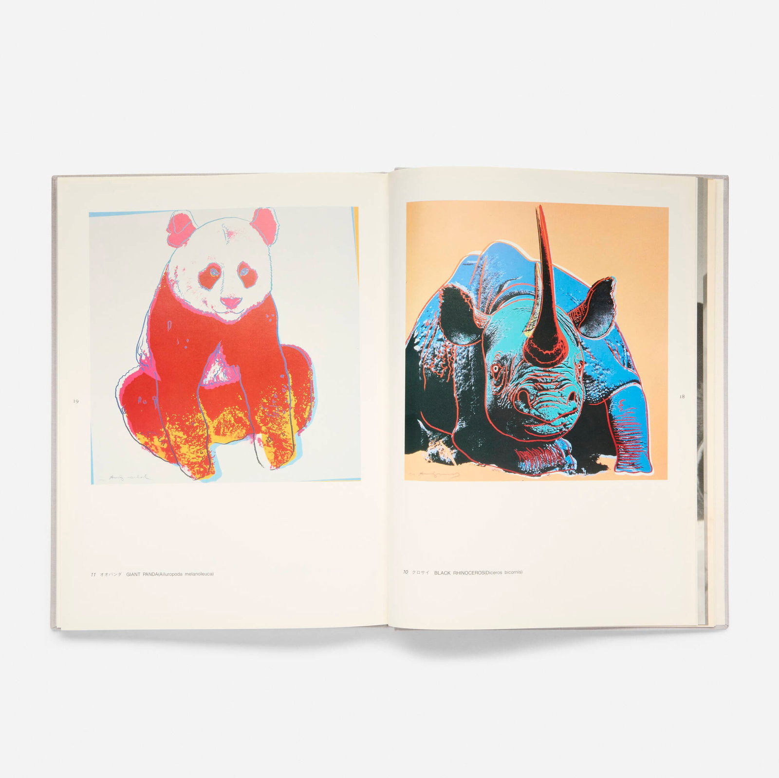 Andy Warhol, Kiku exhibition catalogue: Andy Warhol Kiku exhibition catalogue 1984 screenprint in colors in bound book print: 11 h x 8 w in (28 x 20 cm) book: 11.25 h x 8.5 w x 0.625 d in (29 x 22 x 2 cm) This work is comprised of an