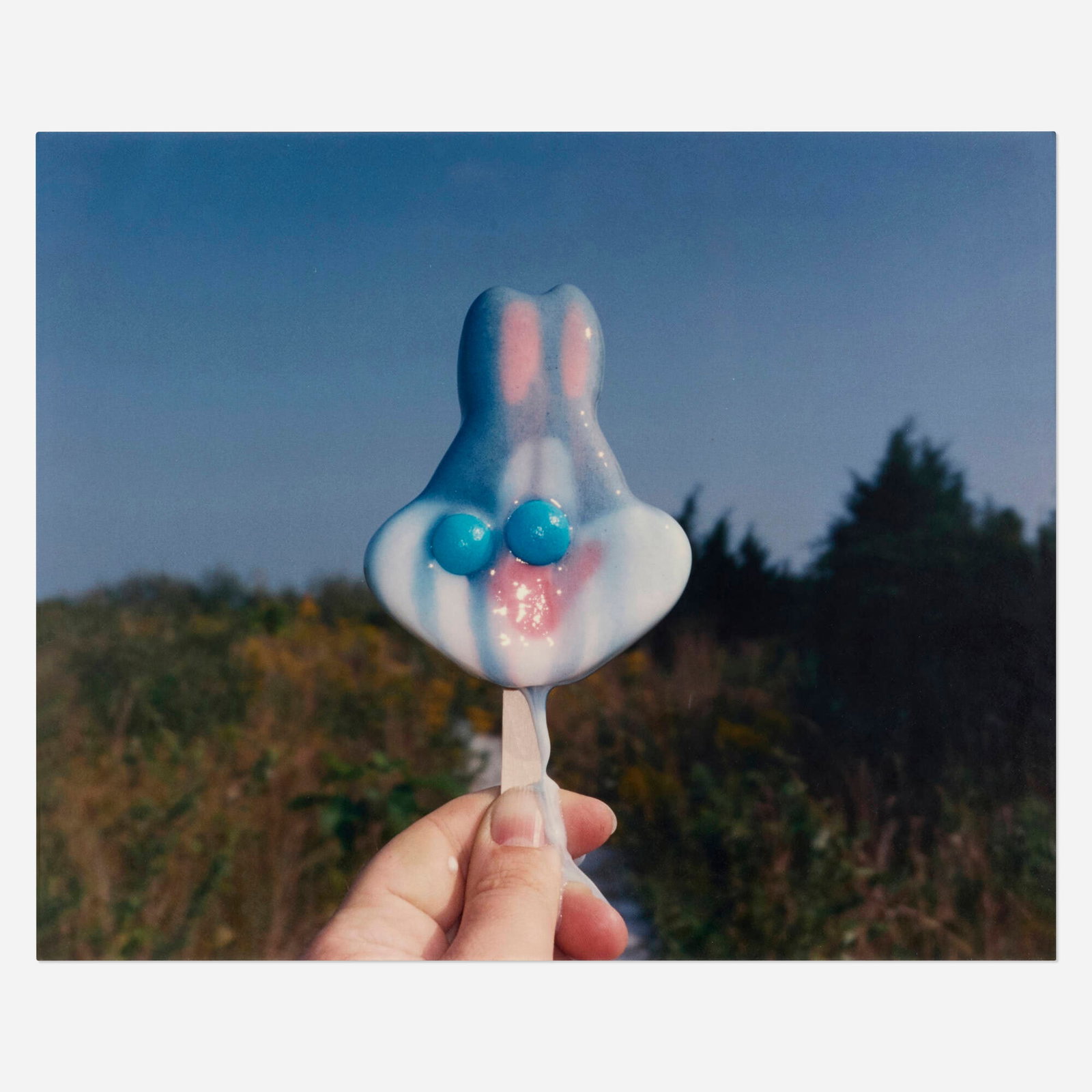 Meredith Allen, Moriche's Island Road (Bugs): Meredith Allen Moriche's Island Road (Bugs) 1999 laminated chromogenic dye print mounted on Sintra 17.5 h x 21.5 w in (44 x 55 cm) Provenance: Gracie Mansion Gallery, New York | Private Collection