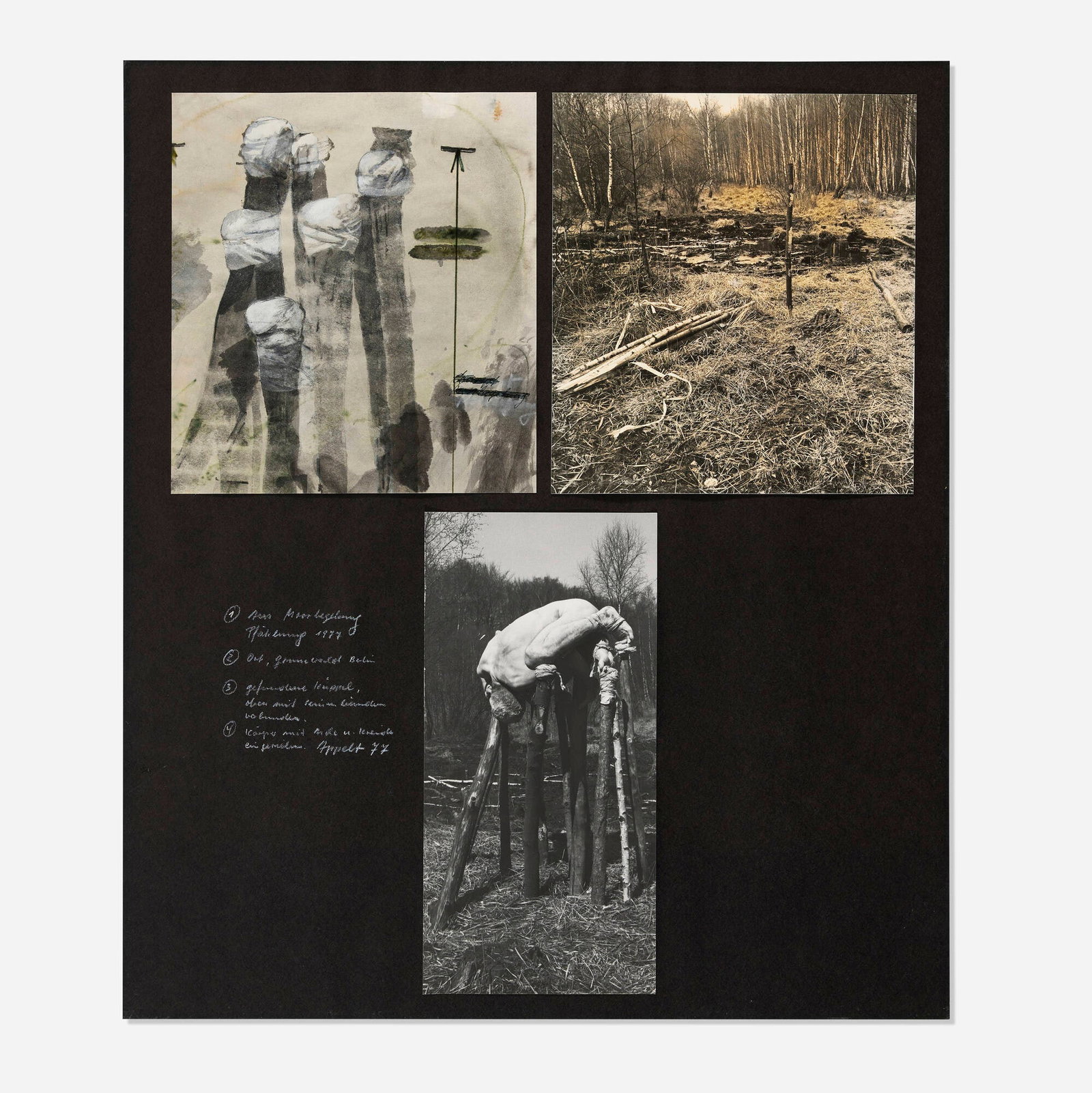 Dieter Appelt, I don't want to elevate myself above the trees (Variant) (1 of 2)