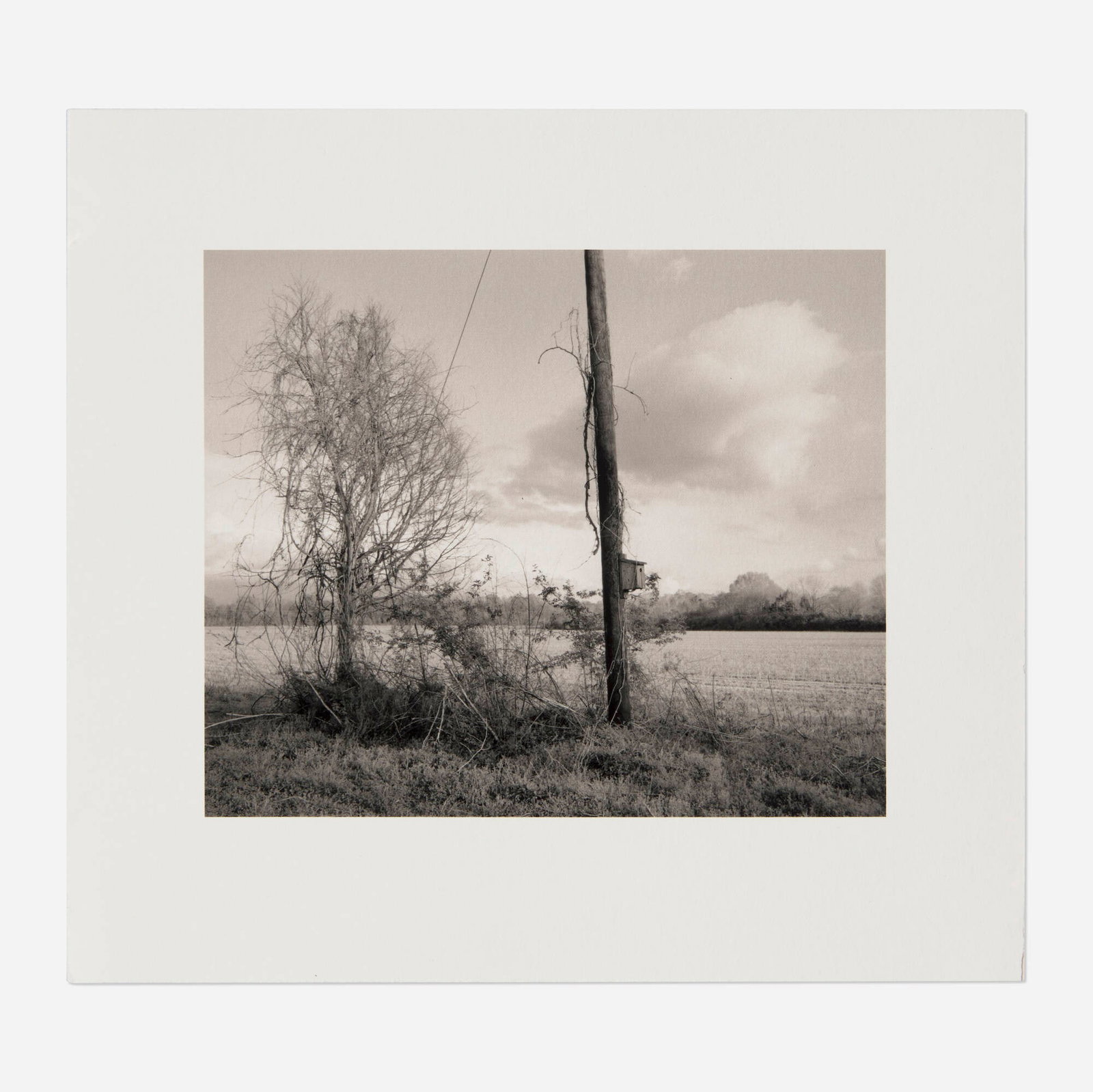 Gregory Conniff, Untitled: Gregory Conniff Untitled gelatin silver print image: 4 h x 4.75 w in (10 x 12 cm) sheet: 6.25 h x 6.75 w in (16 x 17 cm) Signed to verso '? Gregory Conniff'. This work will ship from