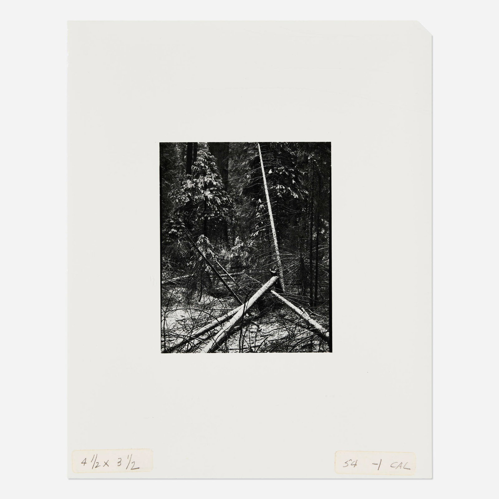 Oliver Gagliani, Untitled (Fallen Trees): Oliver Gagliani Untitled (Fallen Trees) gelatin silver print image: 4.5 h x 3.625 w in (11 x 9 cm) sheet: 9.875 h x 7.875 w in (25 x 20 cm) Signed and inscribed to verso '#2 4NM 58 Oliver
