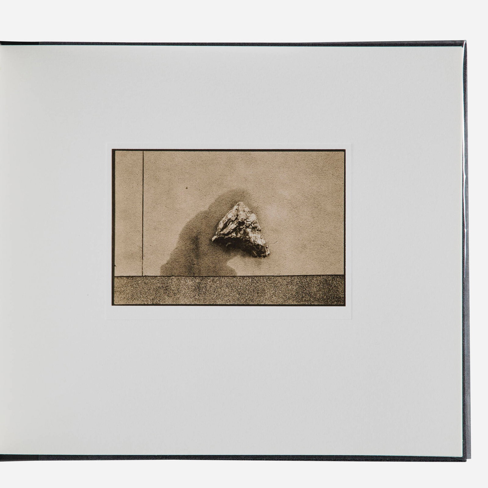 Ron Leighton, Untitled (Artist's Book): Ron Leighton Untitled (Artist's Book) 1976 bound book, toned gelatin silver print image (each): 3.375 h x 5 w in (9 x 13 cm) book: 9 h x 10.375 w x 0.75 d in (23 x 26 x 2 cm) Book is comprised of