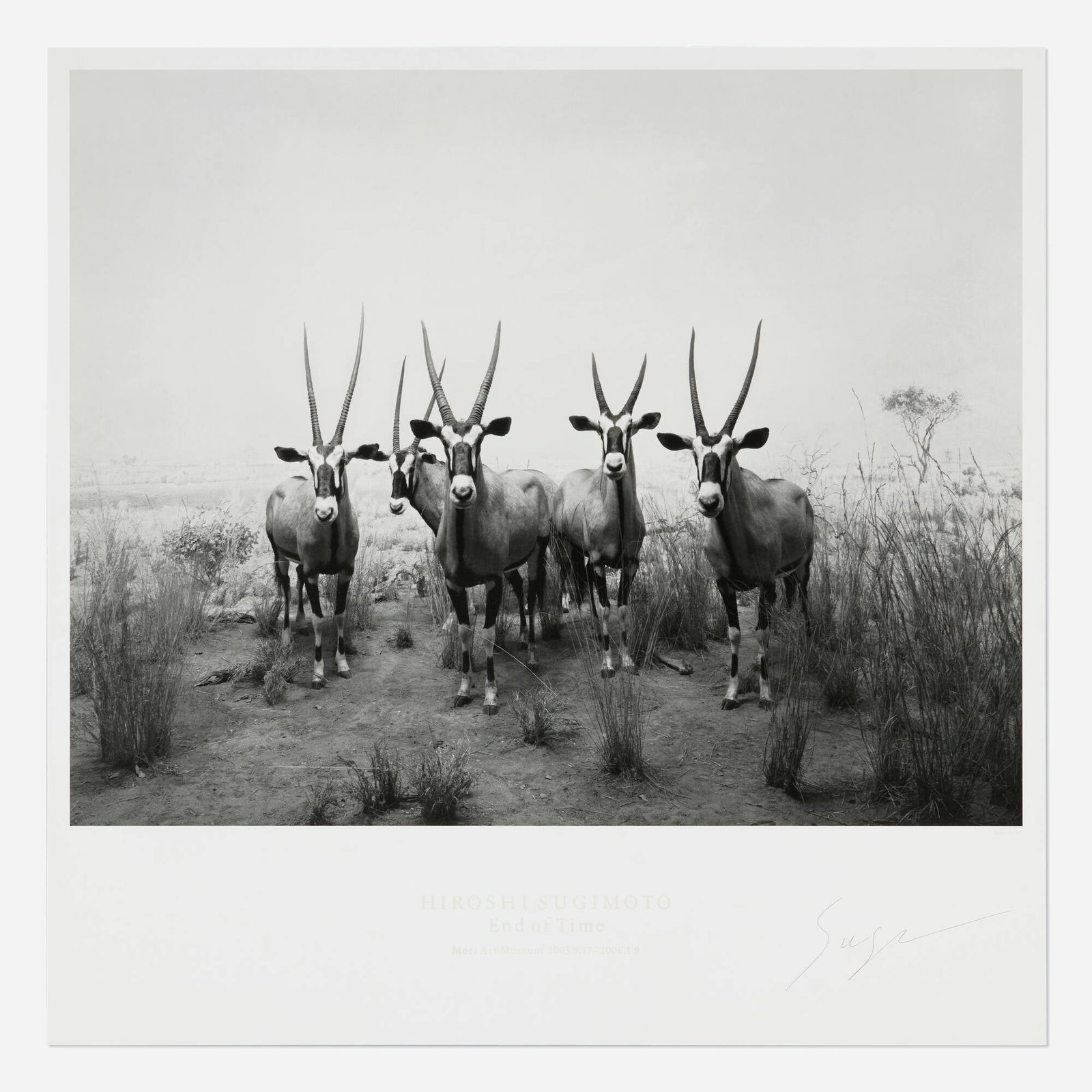 Hiroshi Sugimoto, Gemsbok (from the End of Time portfolio) (1 of 2)