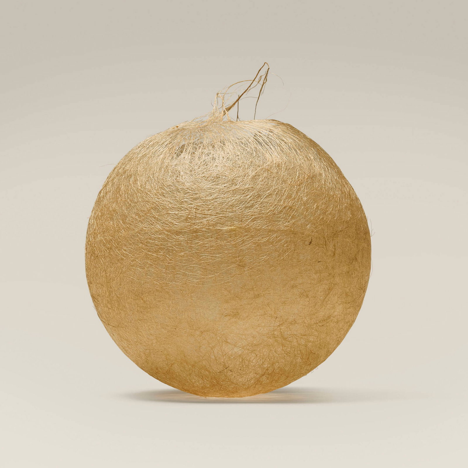 Modern, Vessel: Modern Vessel fiber 9.25 h x 7.75 dia in (23 x 20 cm) Provenance: Collection of Jack Lenor Larsen This work will ship from Lambertville, New Jersey.