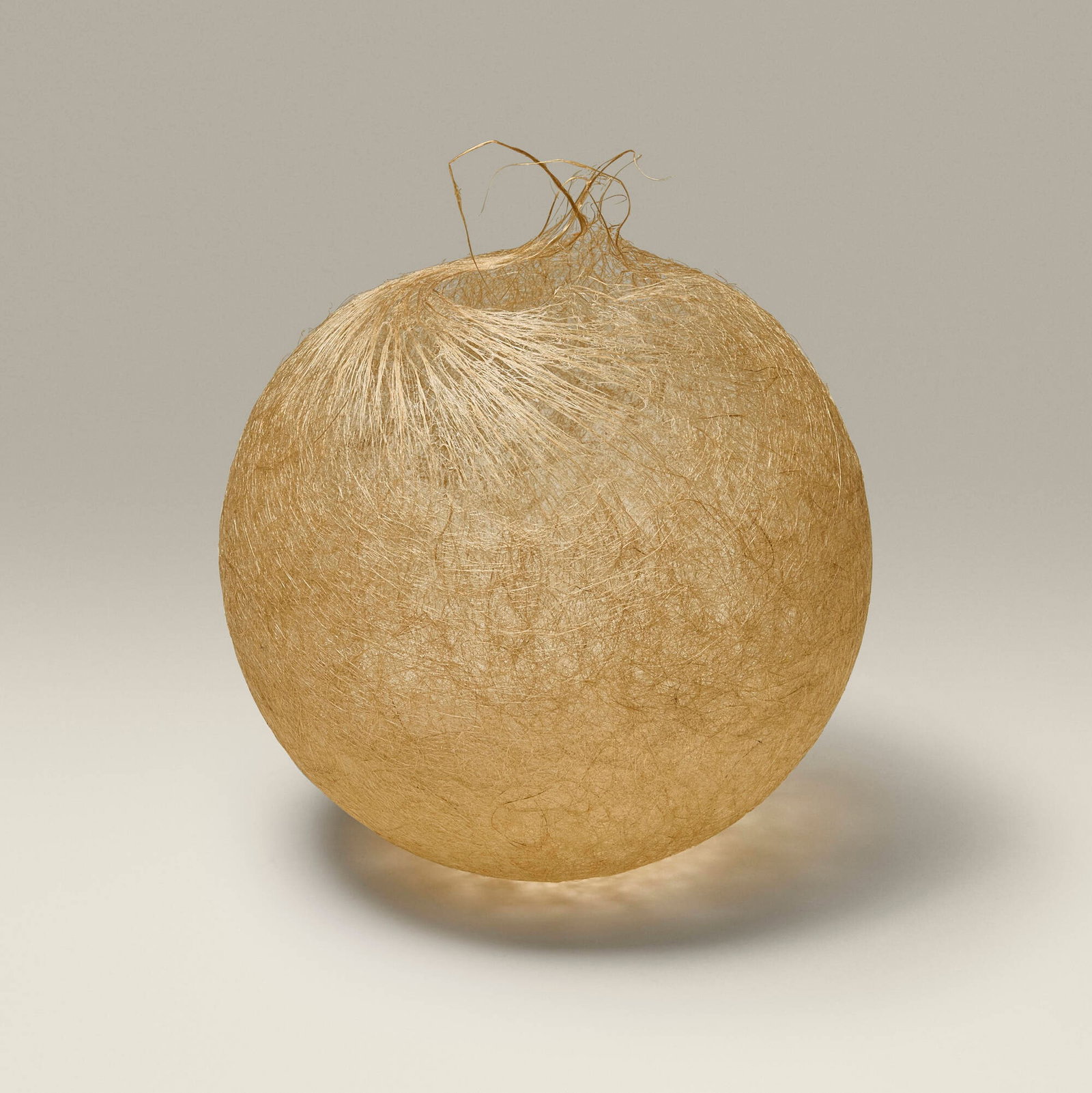 Modern, Vessel - 2