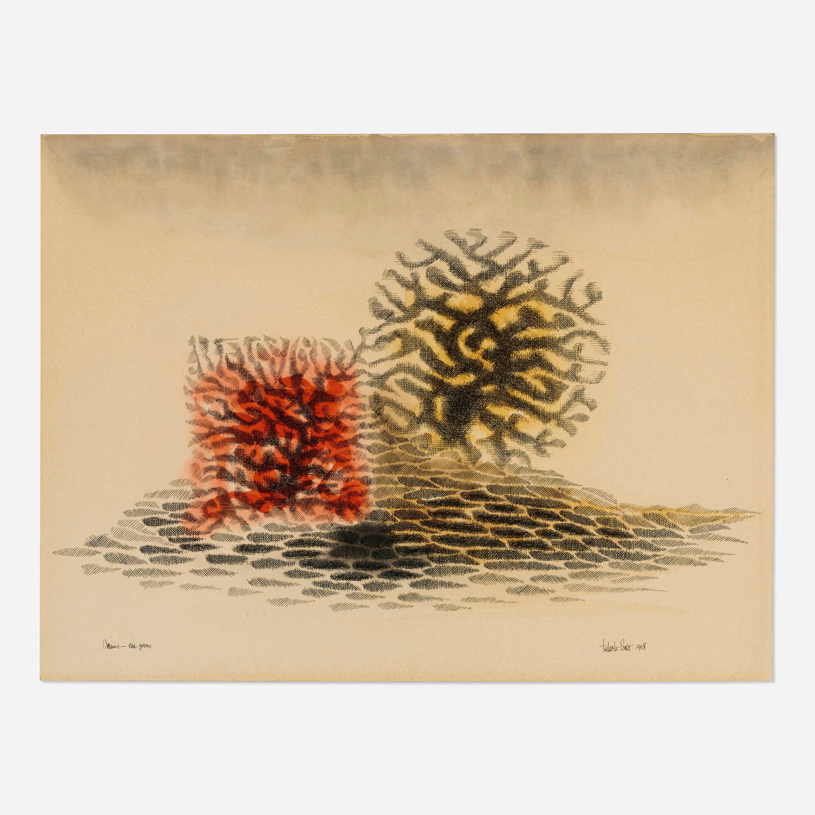 Tadashi Sato, Oceanic Sea Forms (1 of 4)