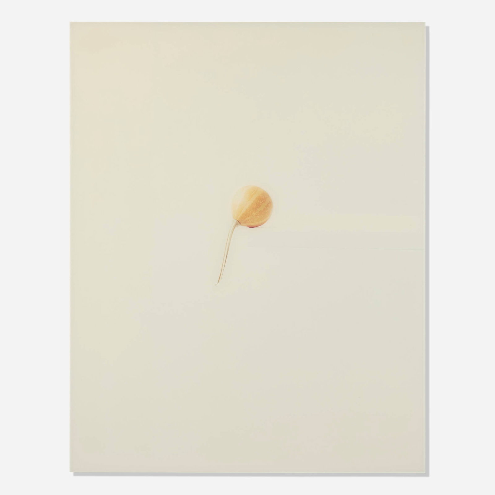 Elger Esser, Kurbis No. 11 (1 of 4)