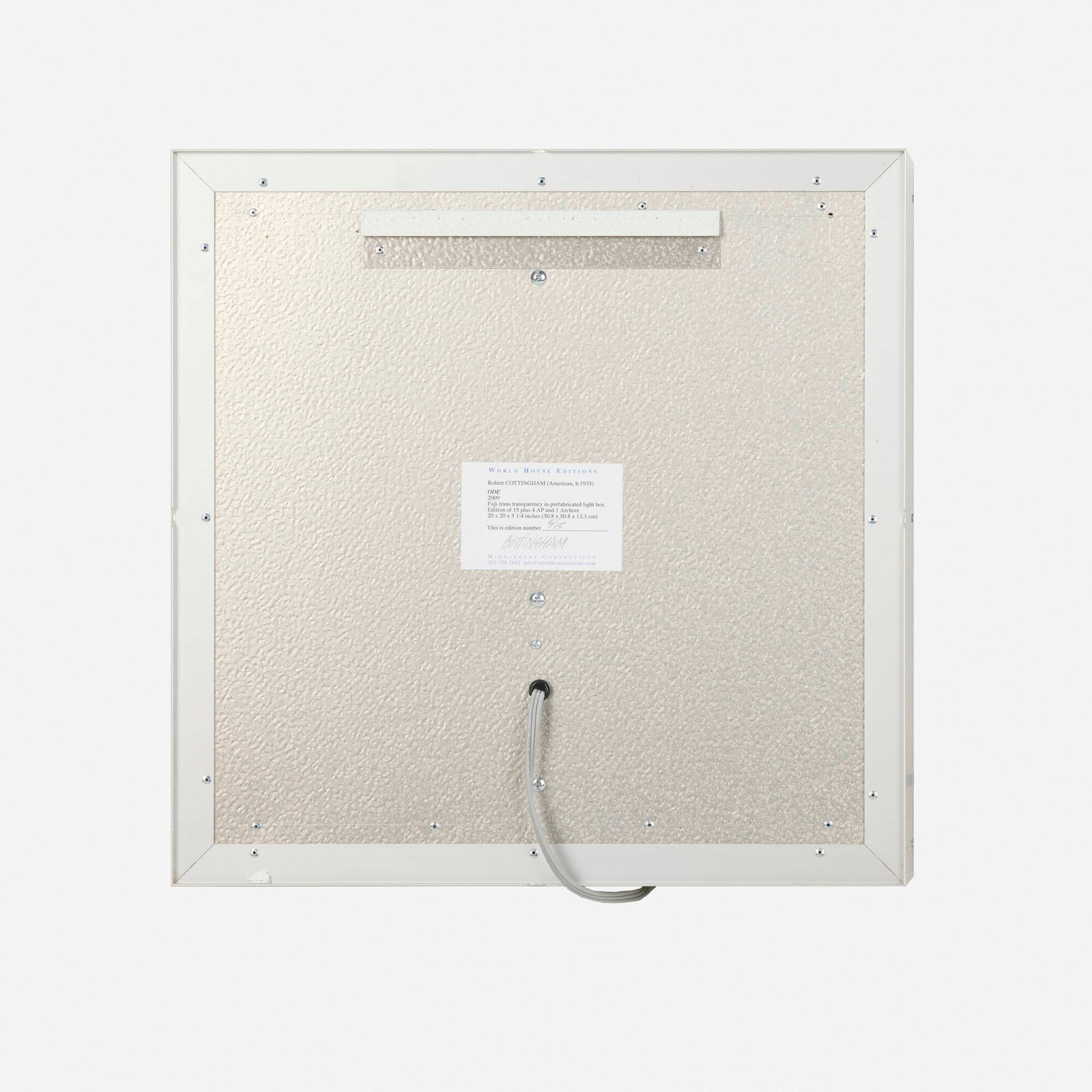 Robert Cottingham, ODE (lightbox) - 3
