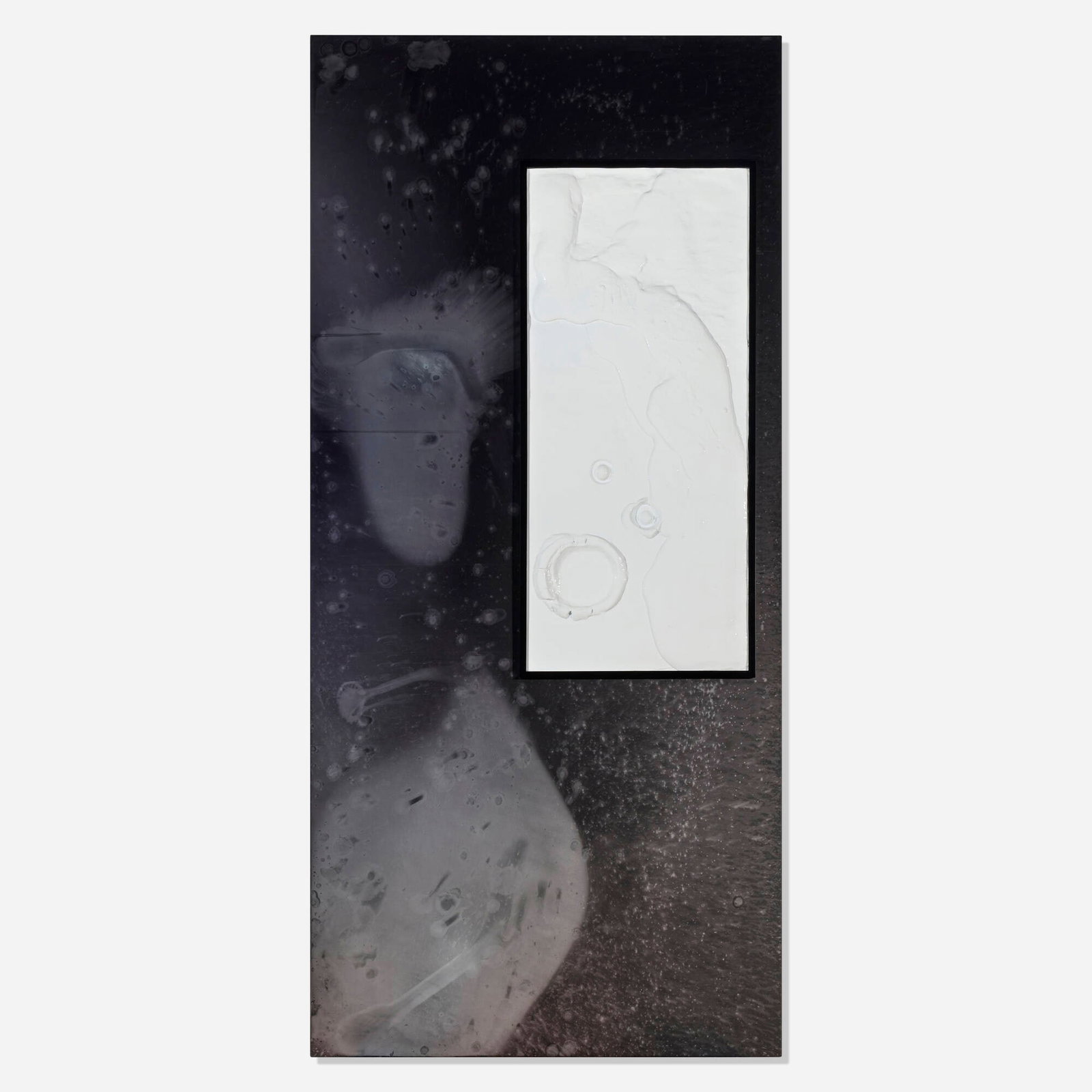 Nicolas Deshayes, Luncheon on Charcoal: Nicolas Deshayes Luncheon on Charcoal 2014 anodized aluminum, vacuum formed plastic 93.5 h x 43.375 w x 1 d in (237 x 110 x 3 cm) Signed and dated to verso 'Nic Deshayes 2014'. Provenance: