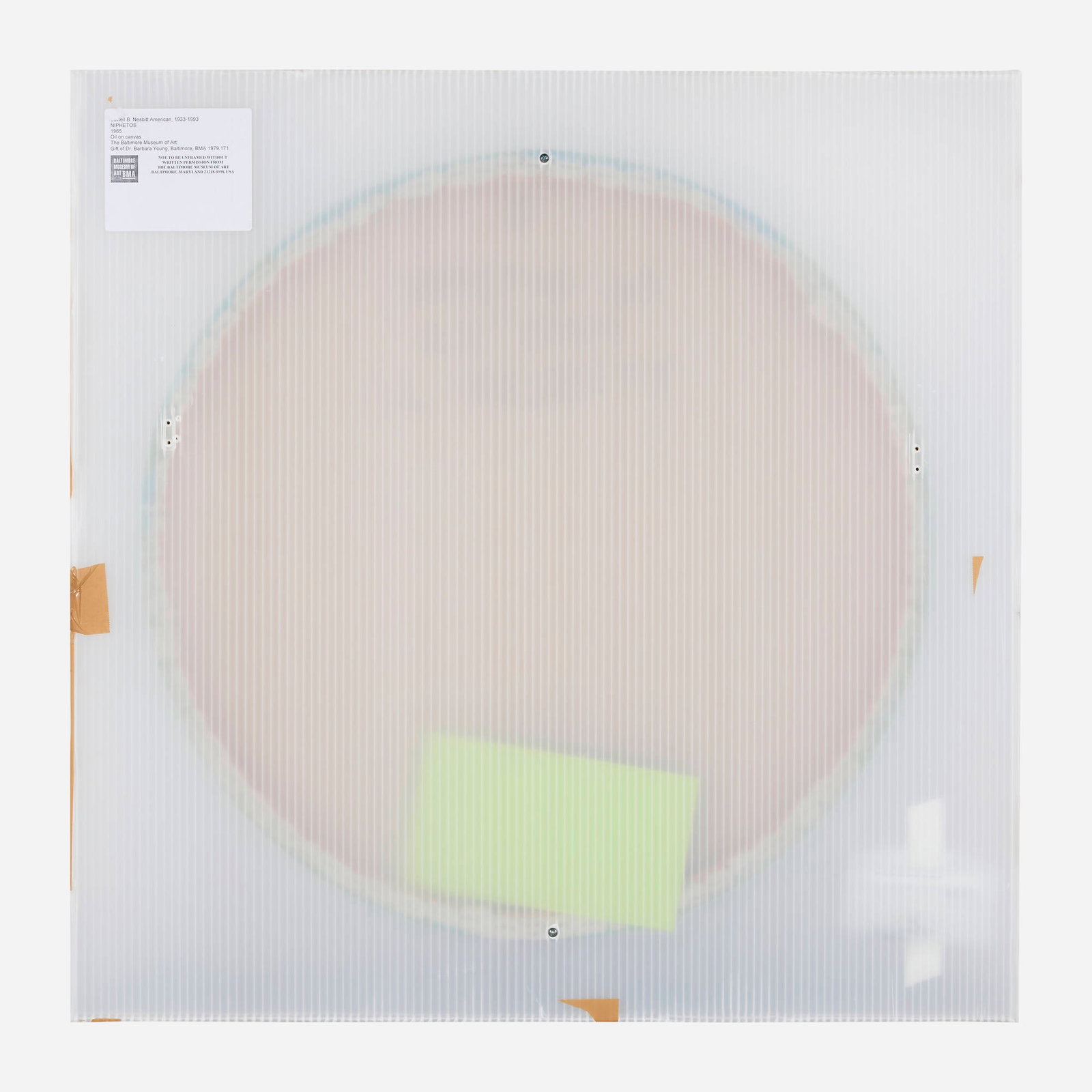 Lowell Nesbitt, Niphetos - 2