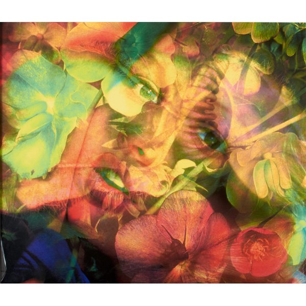 MAT COLLISHAW (English, b. 1966): Screenprint in colors; "Flesheater 4," 2000 (framed); Signed, dated and numbered; 28 3/4" x 33 3/4" (sheet)