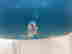 item-21046563=2