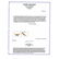 CARTIER 18K YELLOW GOLD TIGER'S EYE JEWELRY - 3