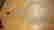 item-29822665=4