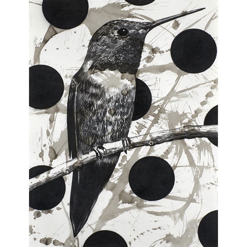 John Newsom (American, b. 1970): Shimmering Rascal, 2005; Ink and charcoal on paper (framed); Signed, dated, titled and inscribed; 30" x 22" (sheet); Provenance: Private Collection, New York