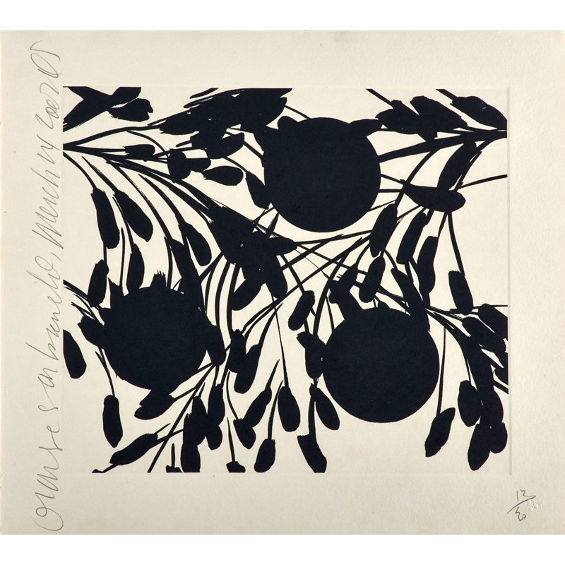 Donald Sultan (American, b. 1951): Oranges on Branches (March 14, 15, 11), 2002; Three etchings, screenprints and flocking on paper (framed separately) Each signed, dated, titled and numbered 12/20; 19" x 21" (sheet, each); Provenance: